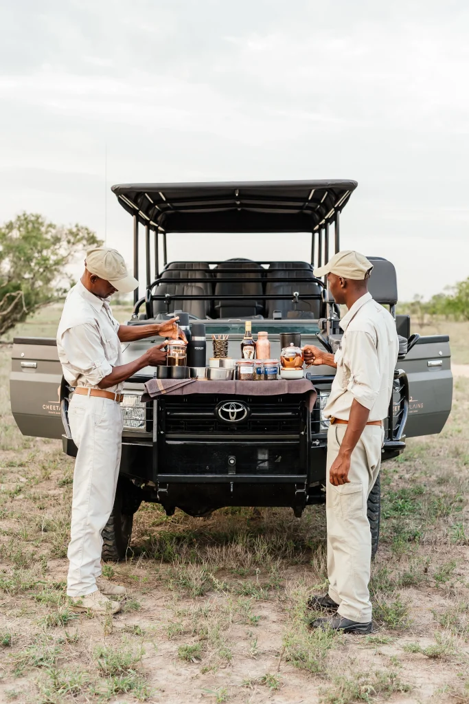 Luxury game drive at Cheetah Plains
